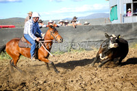 AdaminabyCampdraft2016_5589