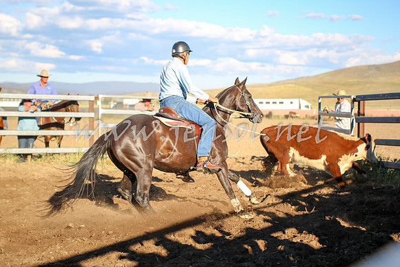 AdaminabyCampdraft2016_5775