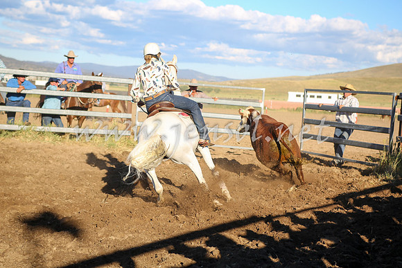 AdaminabyCampdraft2016_5675