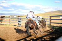 AdaminabyCampdraft2016_5601