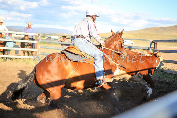 AdaminabyCampdraft2016_5866