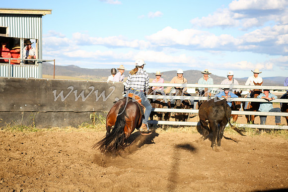 AdaminabyCampdraft2016_5907