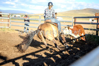 AdaminabyCampdraft2016_5583