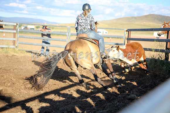 AdaminabyCampdraft2016_5583