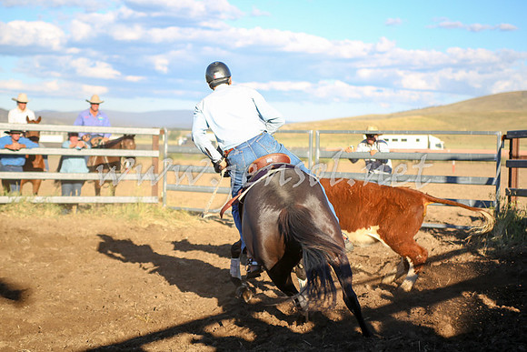 AdaminabyCampdraft2016_5769
