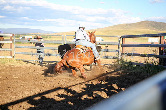 AdaminabyCampdraft2016_5735