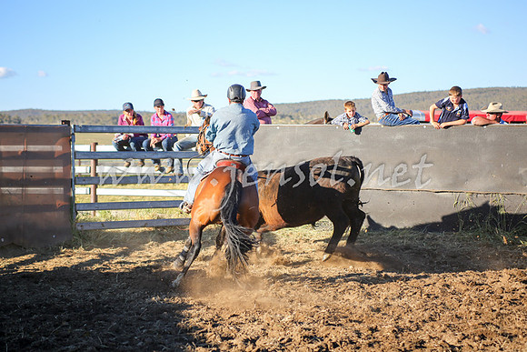 AdaminabyCampdraft2016_5819