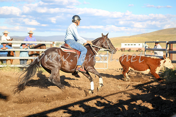 AdaminabyCampdraft2016_5777
