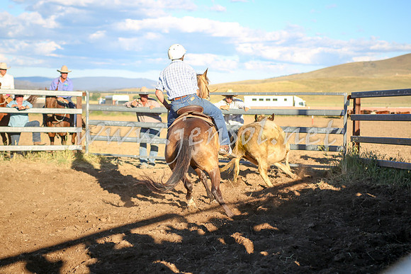 AdaminabyCampdraft2016_5827