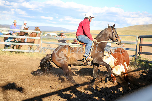 AdaminabyCampdraft2016_5649
