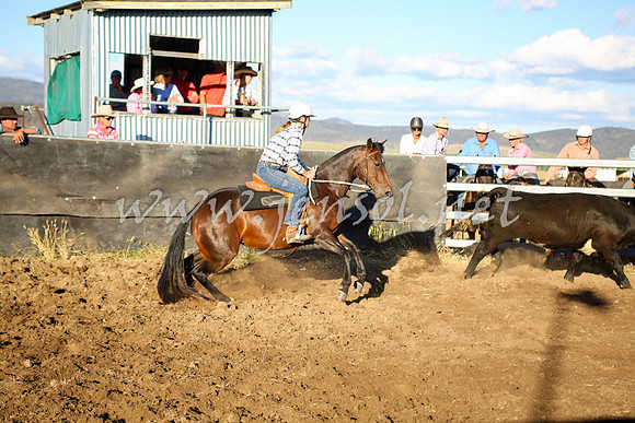 AdaminabyCampdraft2016_5919