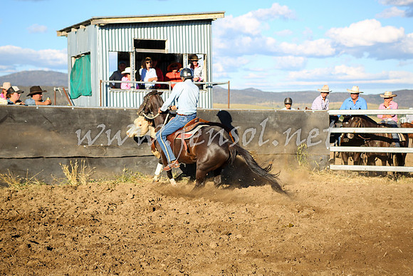 AdaminabyCampdraft2016_5763
