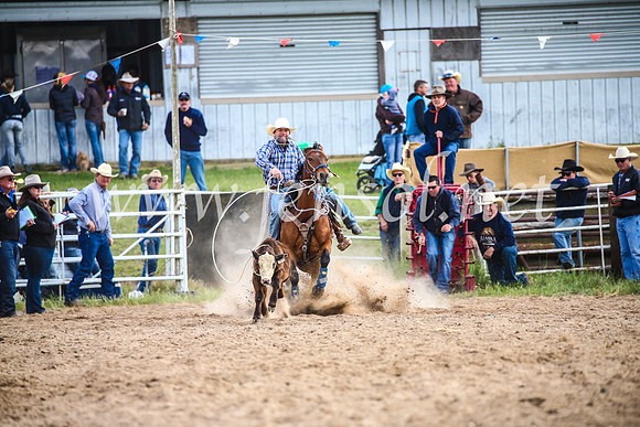 BungendoreRodeo2017_0240