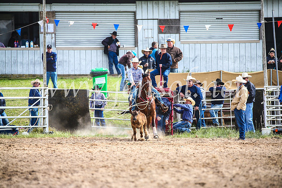 BungendoreRodeo2017_0260