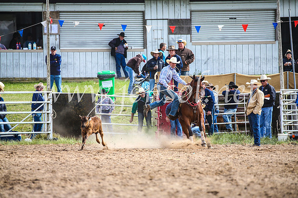 BungendoreRodeo2017_0264