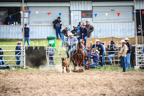 BungendoreRodeo2017_0258