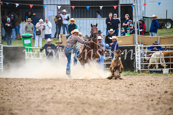BungendoreRodeo2017_1689