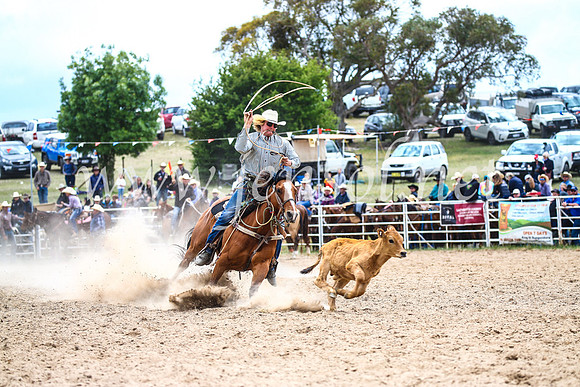 BungendoreRodeo2017_1724