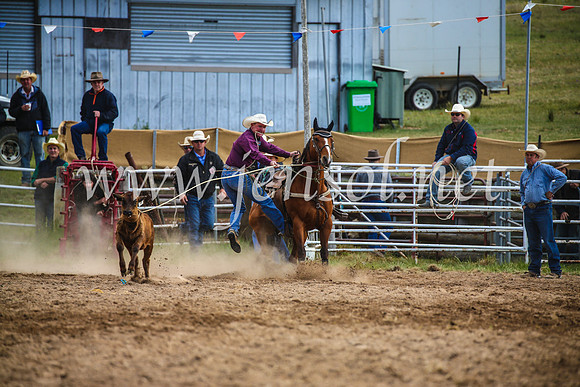 BungendoreRodeo2017_0074