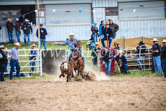 BungendoreRodeo2017_0241