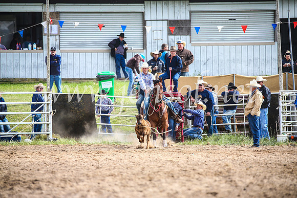 BungendoreRodeo2017_0261