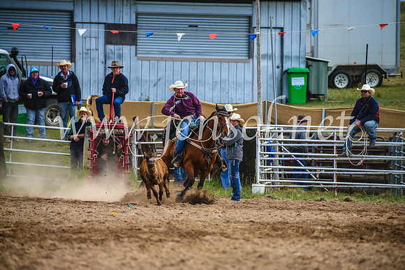 BungendoreRodeo2017_0064