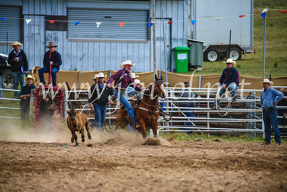 BungendoreRodeo2017_0073