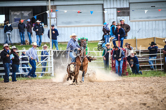 BungendoreRodeo2017_0245