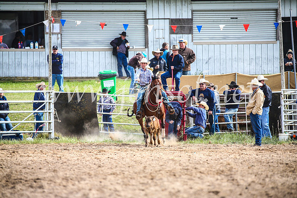 BungendoreRodeo2017_0259