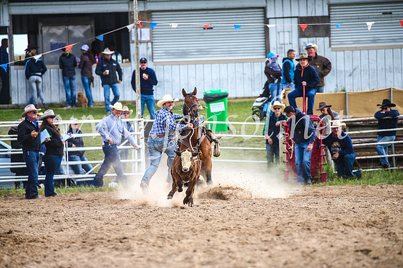 BungendoreRodeo2017_0234