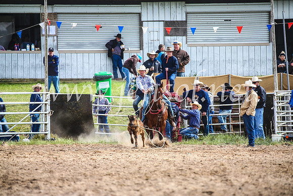 BungendoreRodeo2017_0262