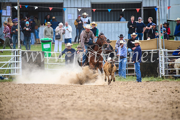BungendoreRodeo2017_1698