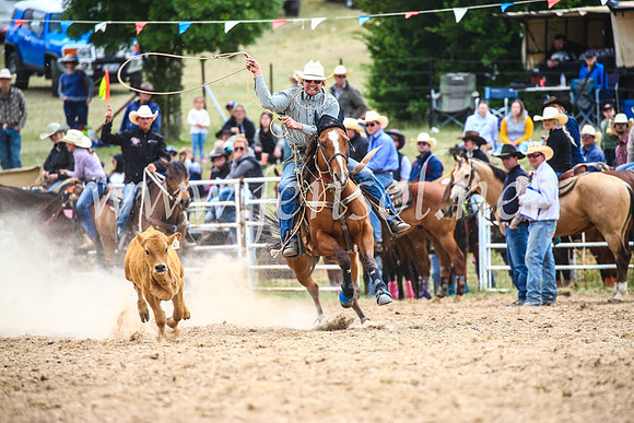 BungendoreRodeo2017_1701