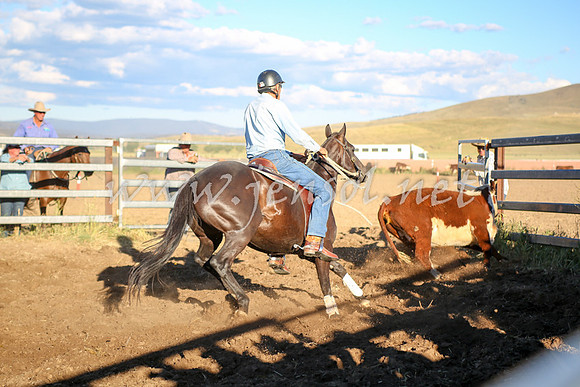 AdaminabyCampdraft2016_5780