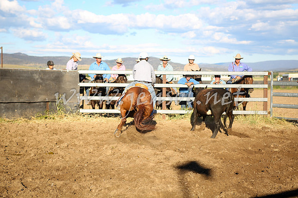 AdaminabyCampdraft2016_5731