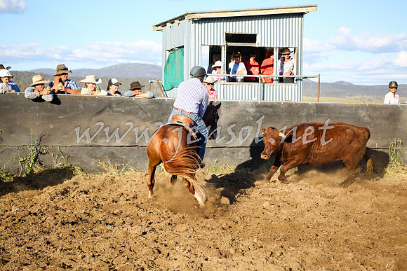 AdaminabyCampdraft2016_5846