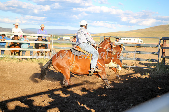 AdaminabyCampdraft2016_5875