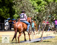 BOB2019_1148
