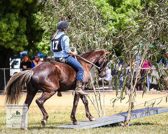 BOB2019_1291