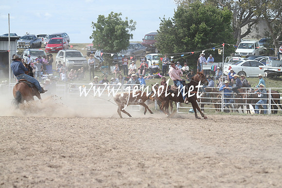 BungendoreRodeo2013_2187