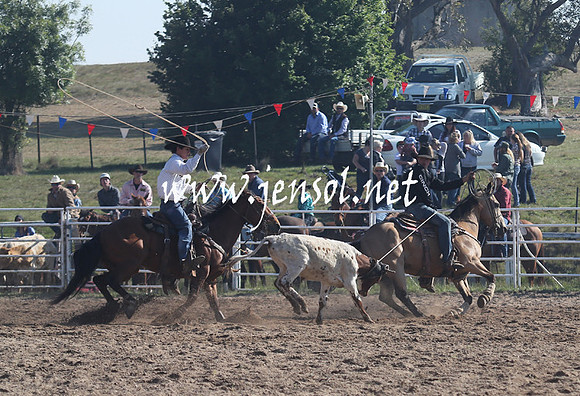 BungendoreRodeo2013_0005