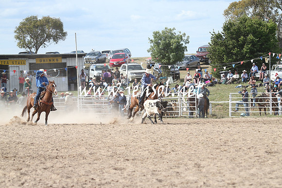 BungendoreRodeo2013_2216