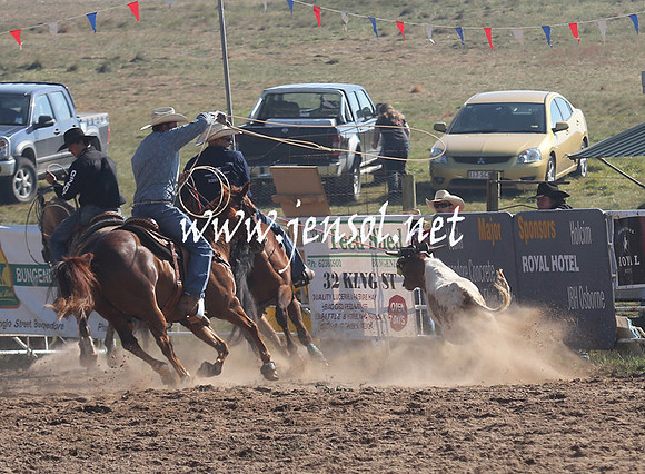 BungendoreRodeo2013_0032