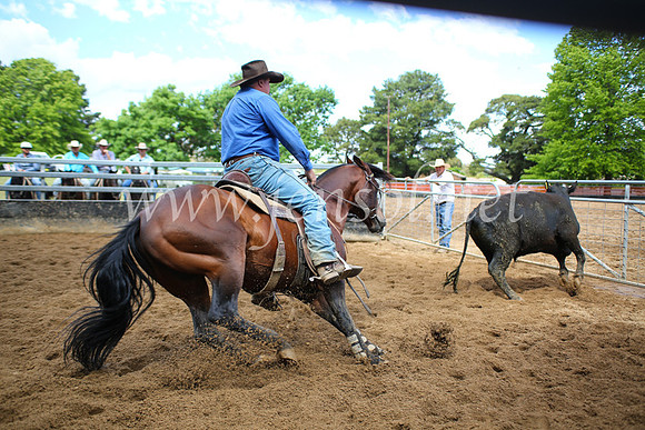 OrangeCampdraft5D_4027