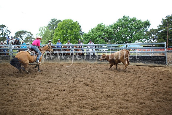 OrangeCampdraft5D_4090