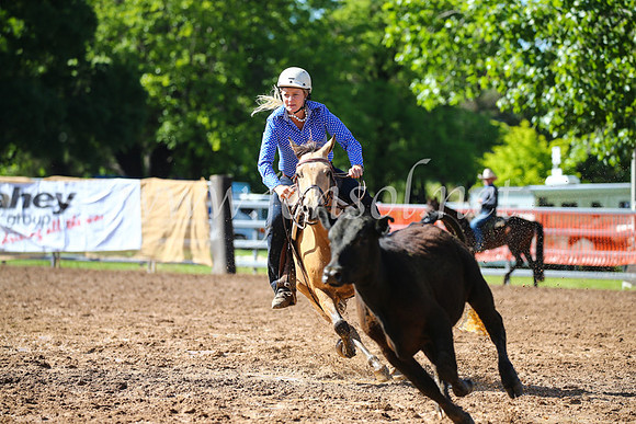 OrangeCampdraft2016_2115