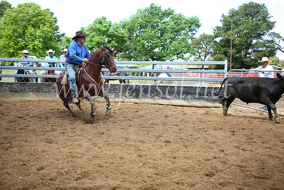 OrangeCampdraft5D_4025
