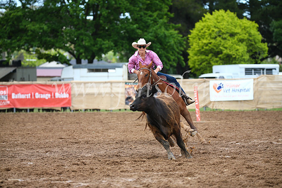 OrangeCampdraft2016_2590