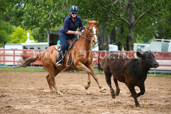 OrangeCampdraft2016_2492