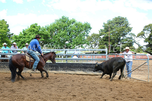 OrangeCampdraft5D_4028